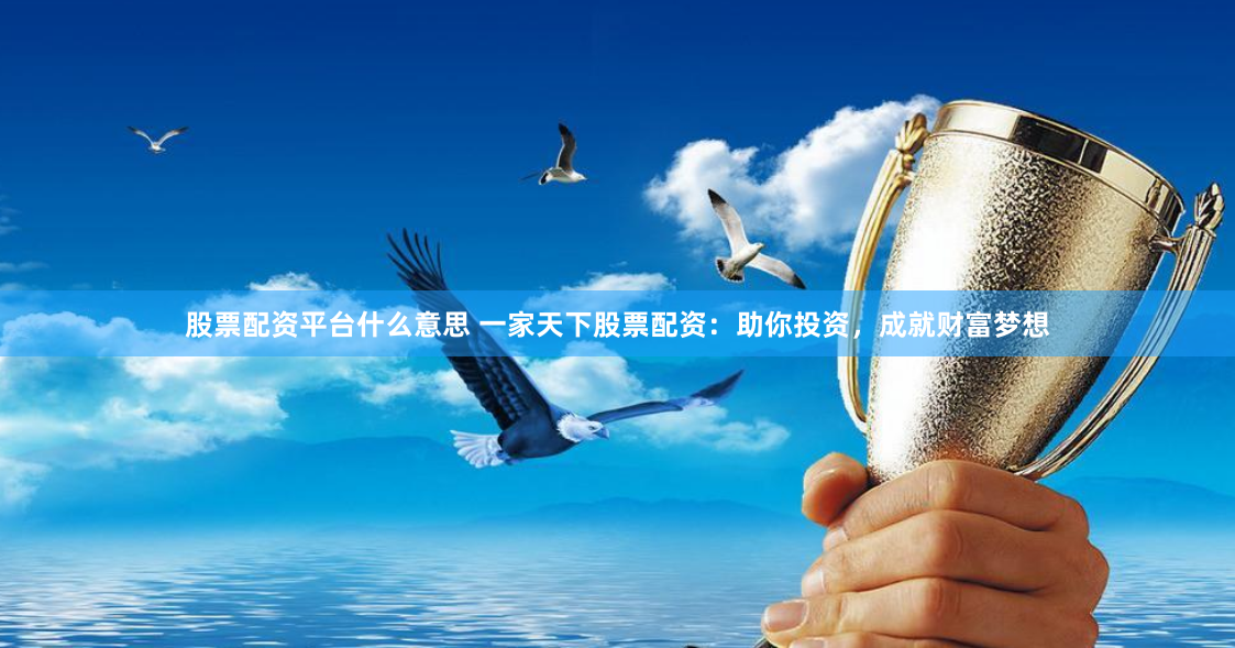 股票配资平台什么意思 一家天下股票配资：助你投资，成就财富梦想