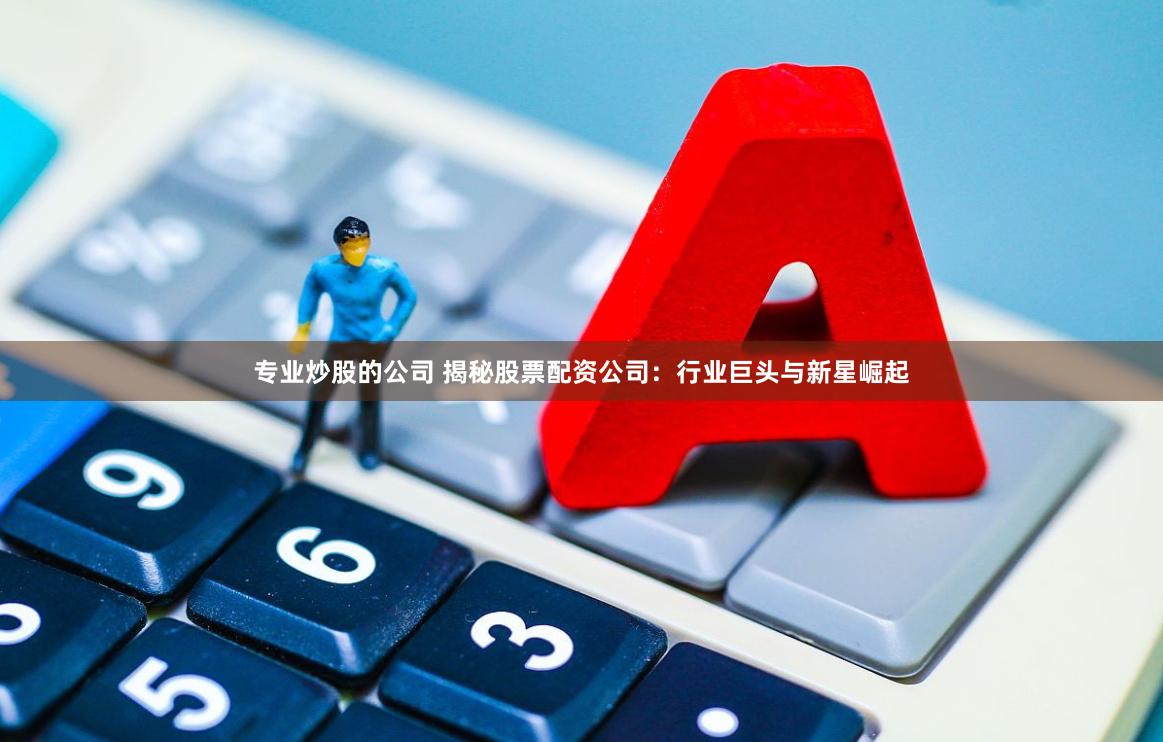 专业炒股的公司 揭秘股票配资公司：行业巨头与新星崛起